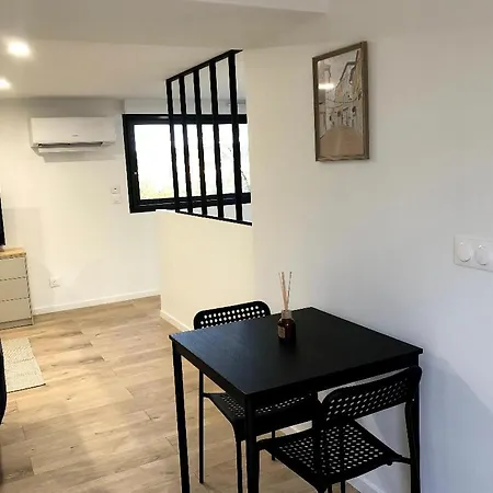Apartmán Immeuble Renove Au Centre D'auch. *