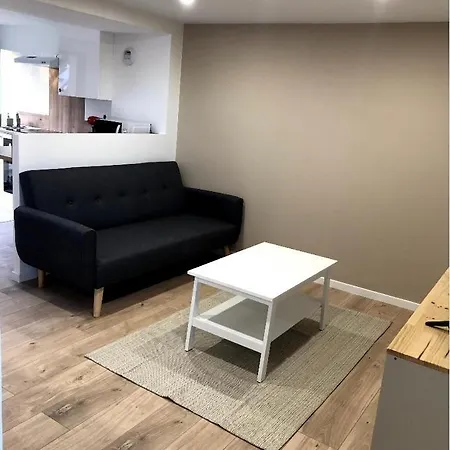 Immeuble Renove Au Centre D'auch. Apartmán