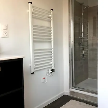 Immeuble Renove Au Centre D'auch. Apartment Auch