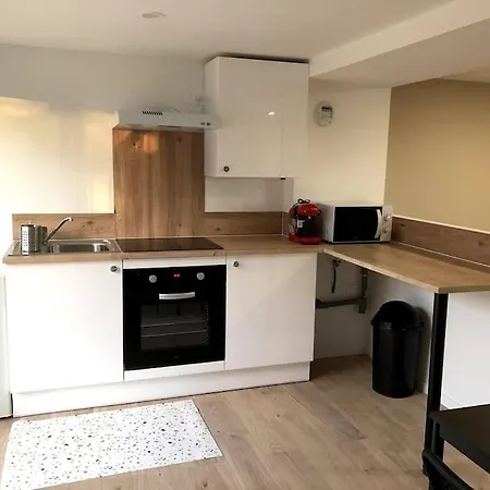 Apartamento Immeuble Renove Au Centre D'auch. *