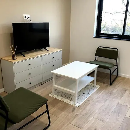 Immeuble Renove Au Centre D'auch. Apartamento