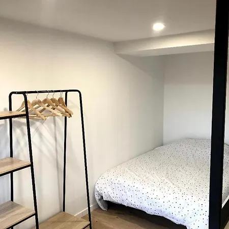 Apartamento Immeuble Renove Au Centre D'auch. Auch