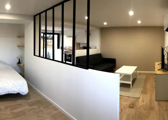 Immeuble Rénové Au Centre D'auch. Appartamento Auch