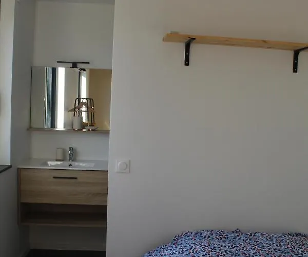 Immeuble Rénové Au Centre D'auch. Appartamento *