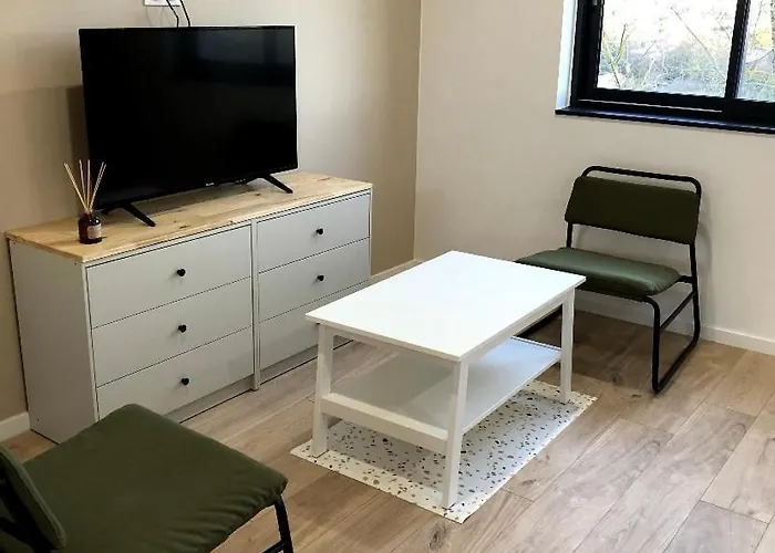 Immeuble Rénové Au Centre D'auch. Appartamento