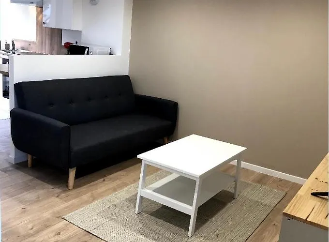 Immeuble Rénové Au Centre D'auch. Appartamento